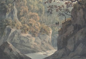 Ponte alpino e paesaggio boschivo vicino a Pistil y Maw